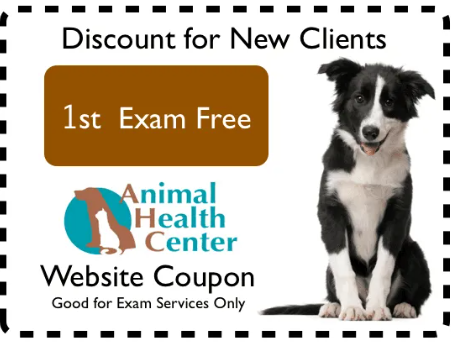 Animal Health Center | Your Santa Clara, CA Veterinarians